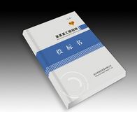 四川成都代寫標(biāo)書公司 大圖