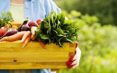 丹麥:北歐國家的有機農(nóng)業(yè)&ldquo;童話&rdquo;